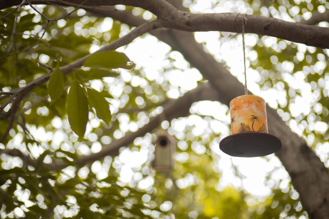 Nature Village Resort Pushkar Exterior foto